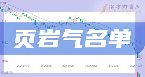 頁巖氣行業四大龍頭股盤點與投資分析